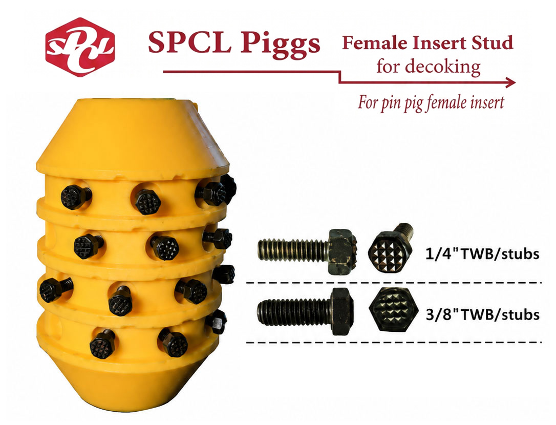 PCT piggs specification
